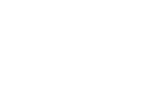Almeida Guzmán & Asociados