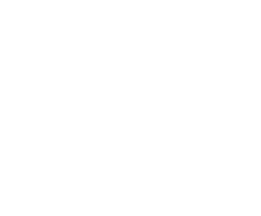 Guzmán Santoro Abogados